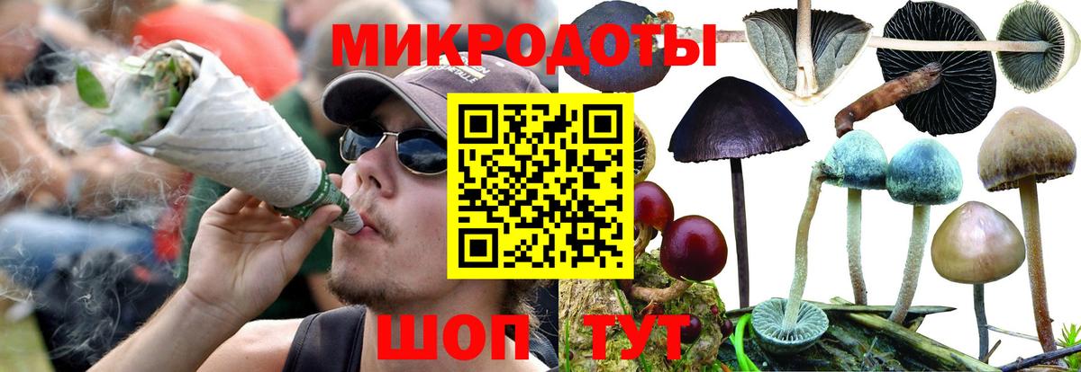 Галлюциногенные грибы Psilocybe  Галлюциногенные грибы ЛСД  Старая Русса  Вход с VPN 